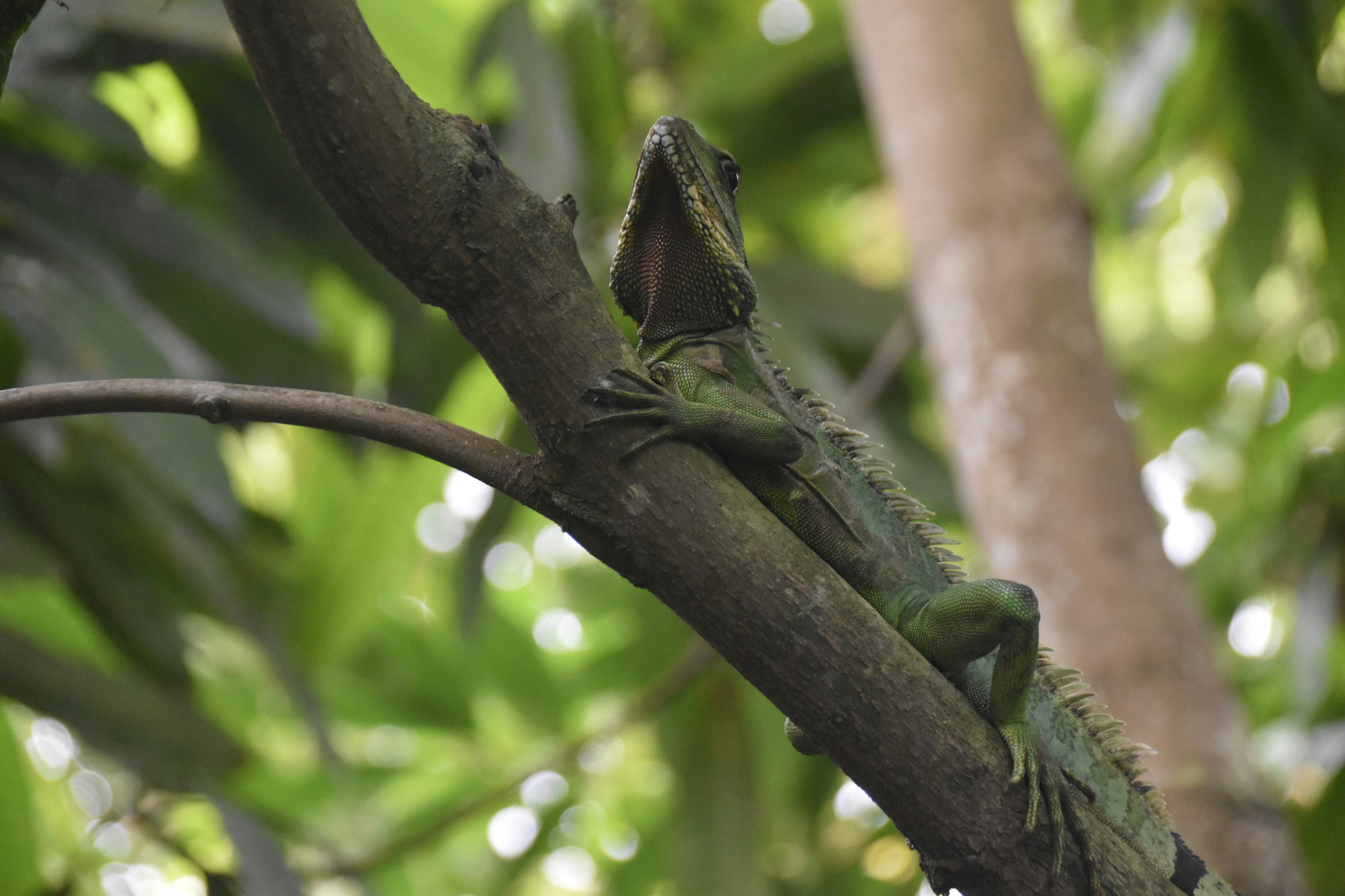 Photo by jessica_kmr