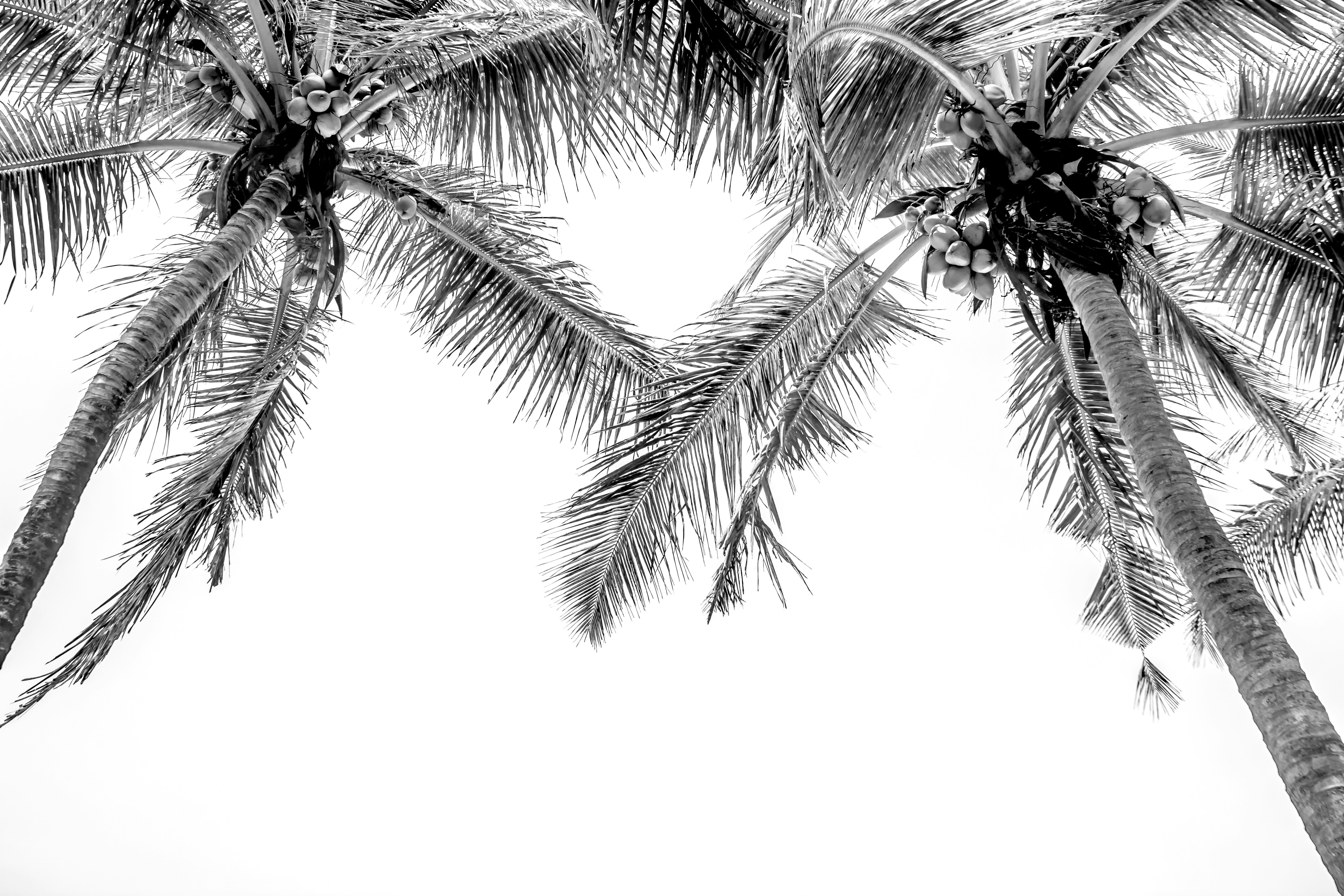 Photo by monicasinghdahiya