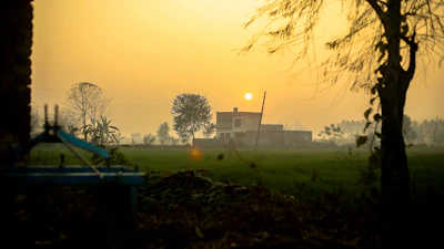 A warm sunrise over a rustic farmhouse surrounded by green fields and chickens roaming freely.