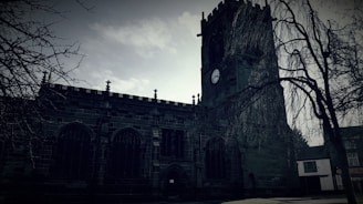 A Gothic-style church with a large clock tower stands amidst bare trees. The building is constructed from dark stone, and the foreground is shadowed, adding to the mysterious atmosphere. The sky above is cloudy, with patches of sunlight softly lighting the scene.