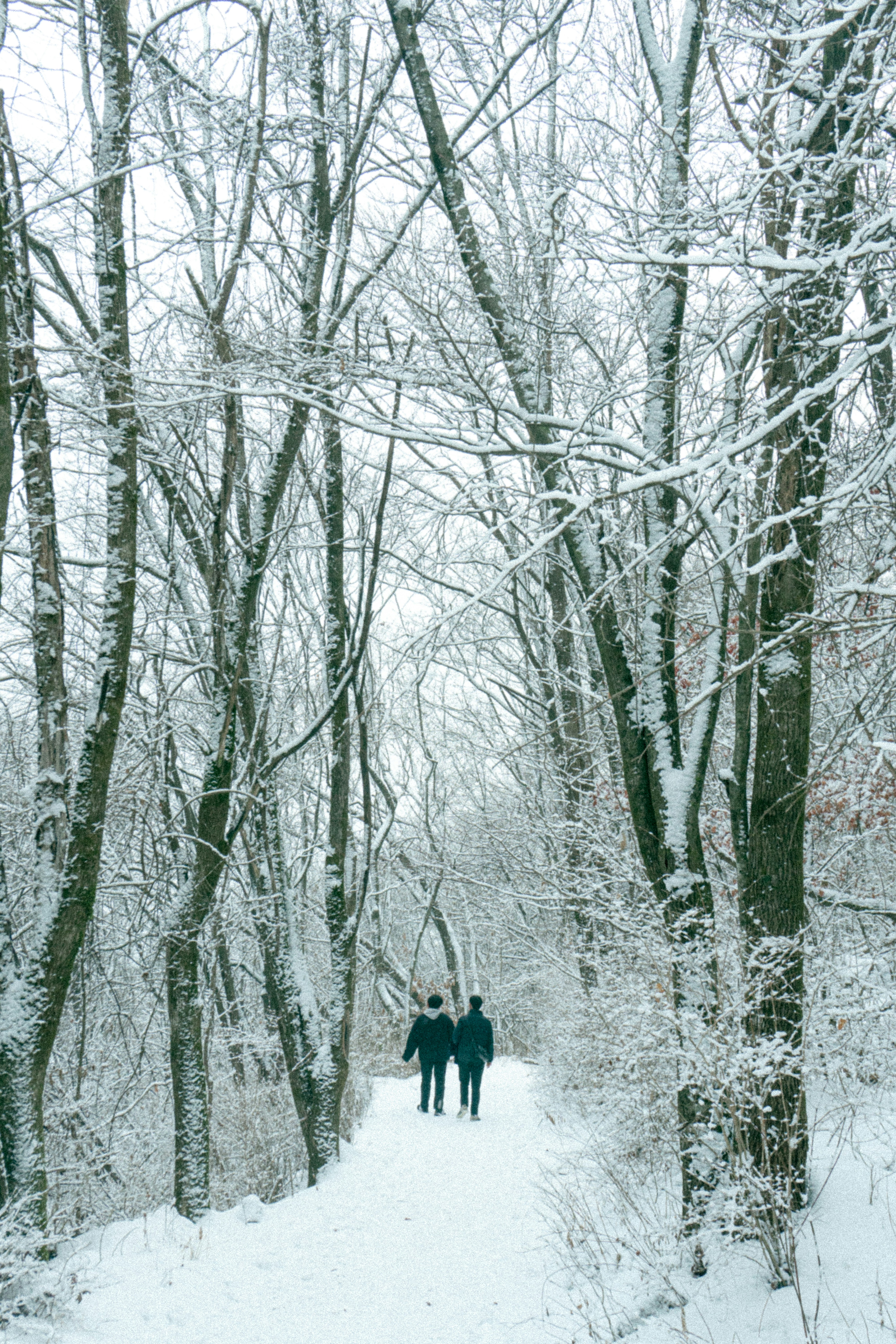 Photo by jinhan_photo