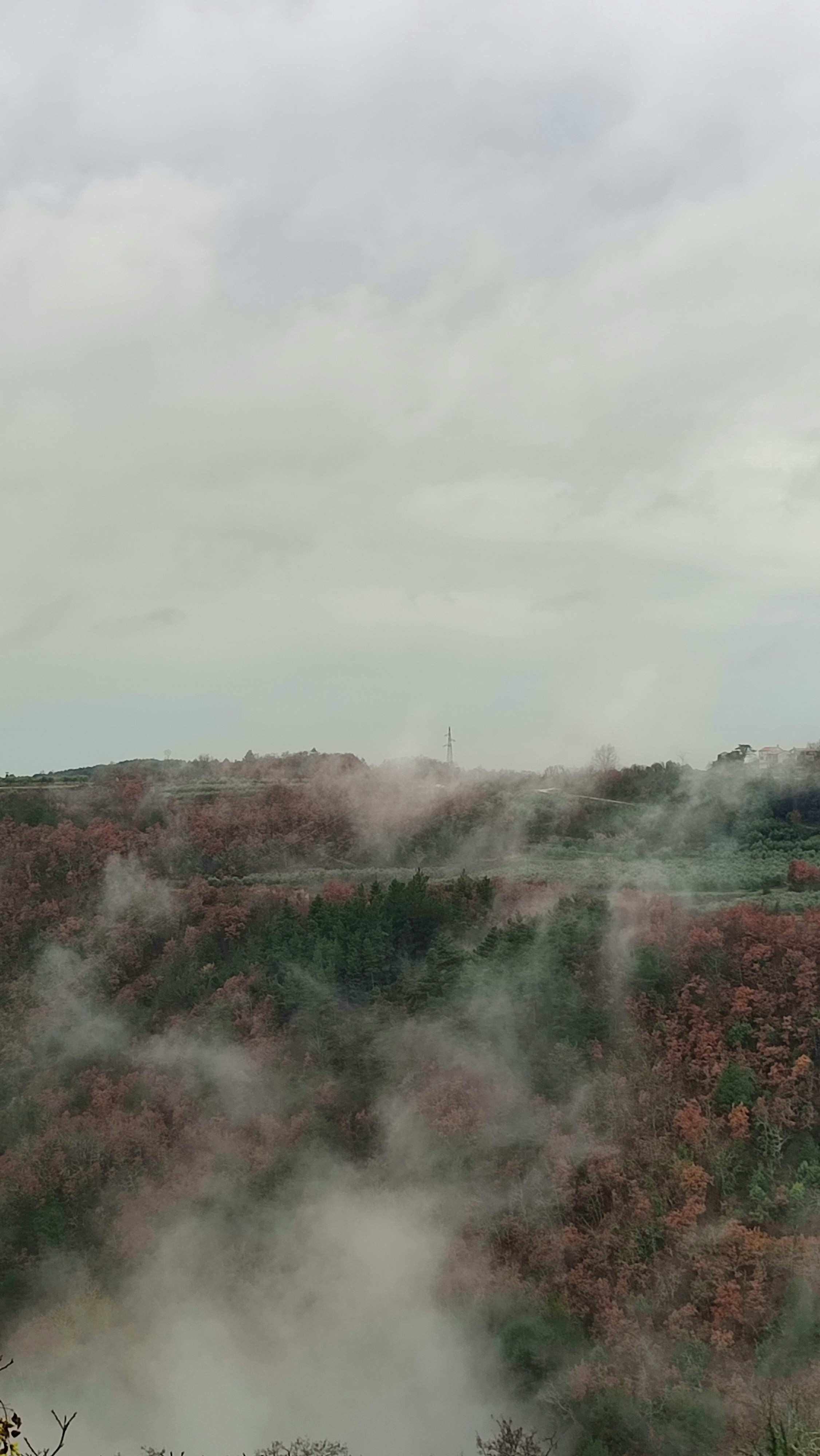 autumn forest fog, wallpaper, Camping in Fog: Essential Autumn Safety Tips 5