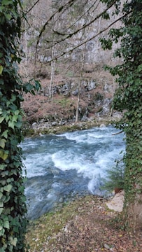 A flowing river with clear blue water runs through a forested area, bordered by trees and lush green vegetation. The river has white water indicating a fast current. The surrounding trees have sparse leaves, suggesting it's either late autumn or early spring. Dense ivy clings to the tree trunks, creating a frame for the river scenery.