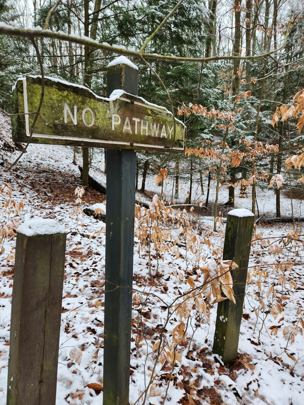 a no pathway sign in the woods covered in snow