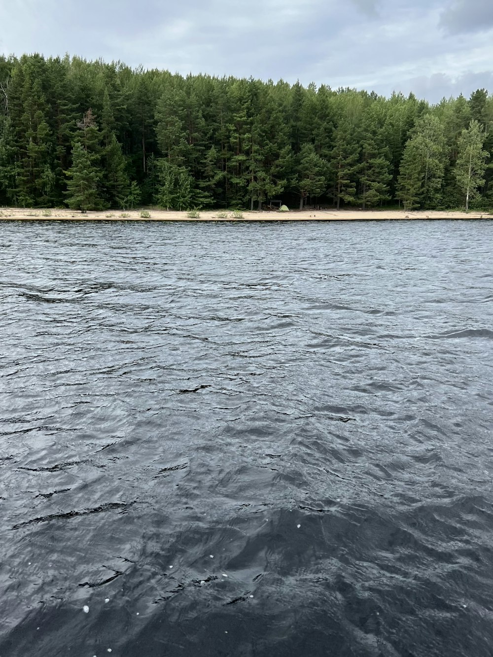 a body of water with trees in the background