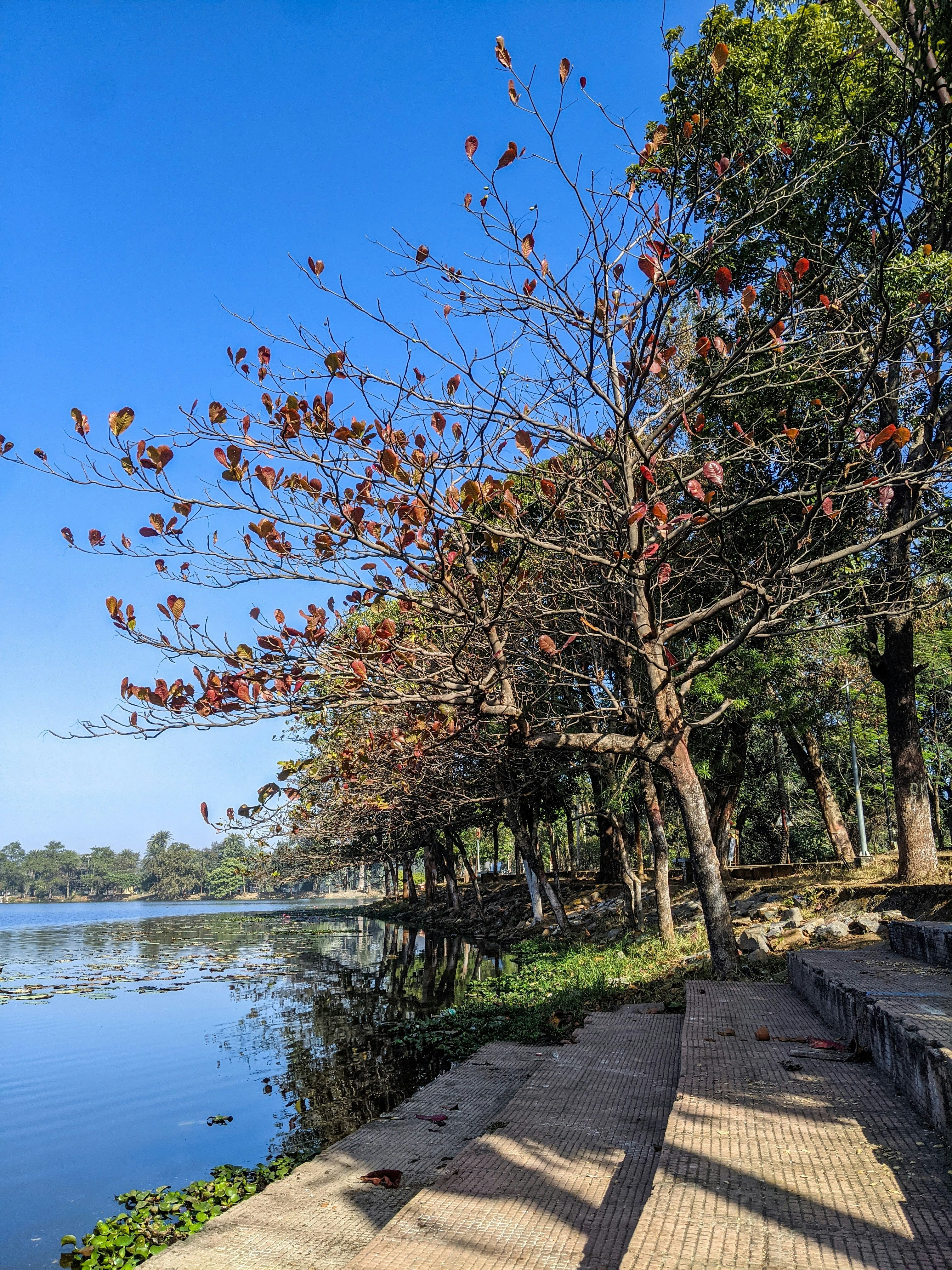 Photo by shubhgupta07