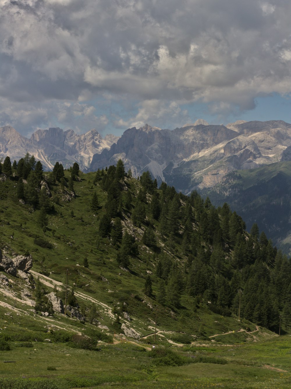 a grassy field with a mountain range in the background