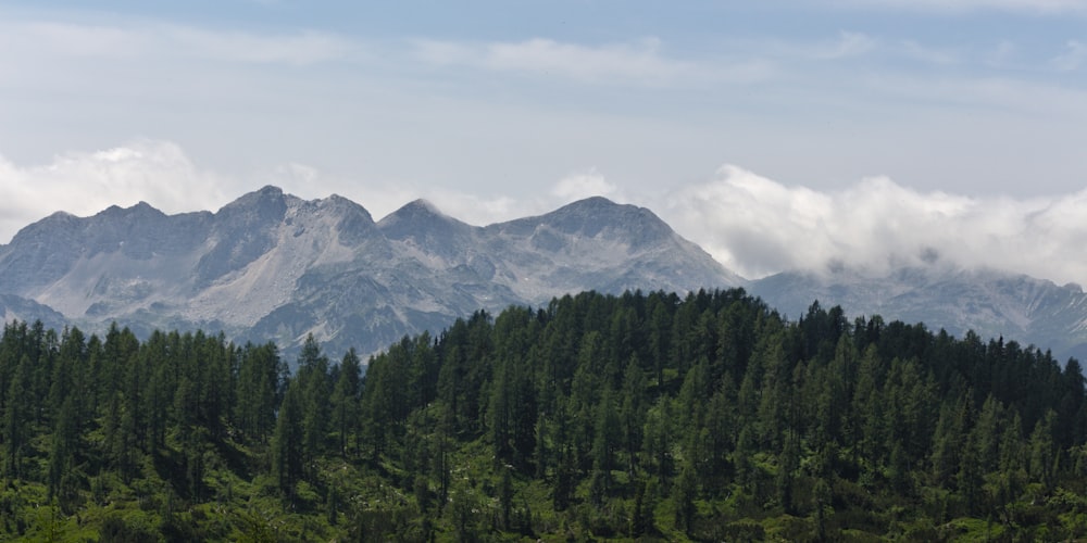 a mountain range with trees in the foreground and clouds in the background