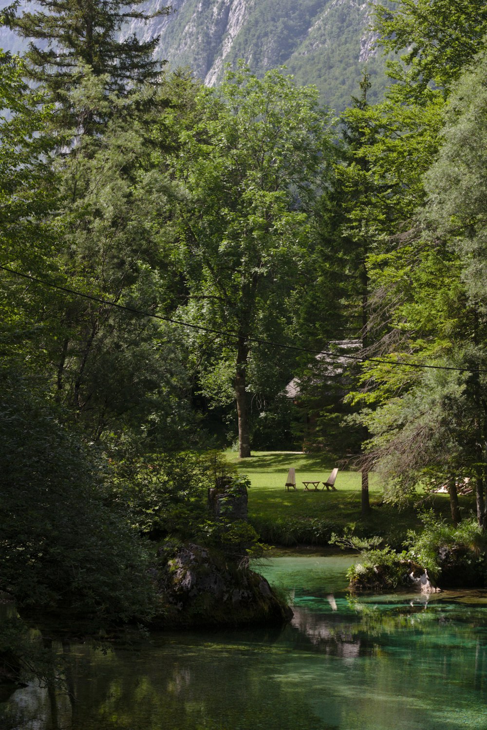 a river running through a lush green forest