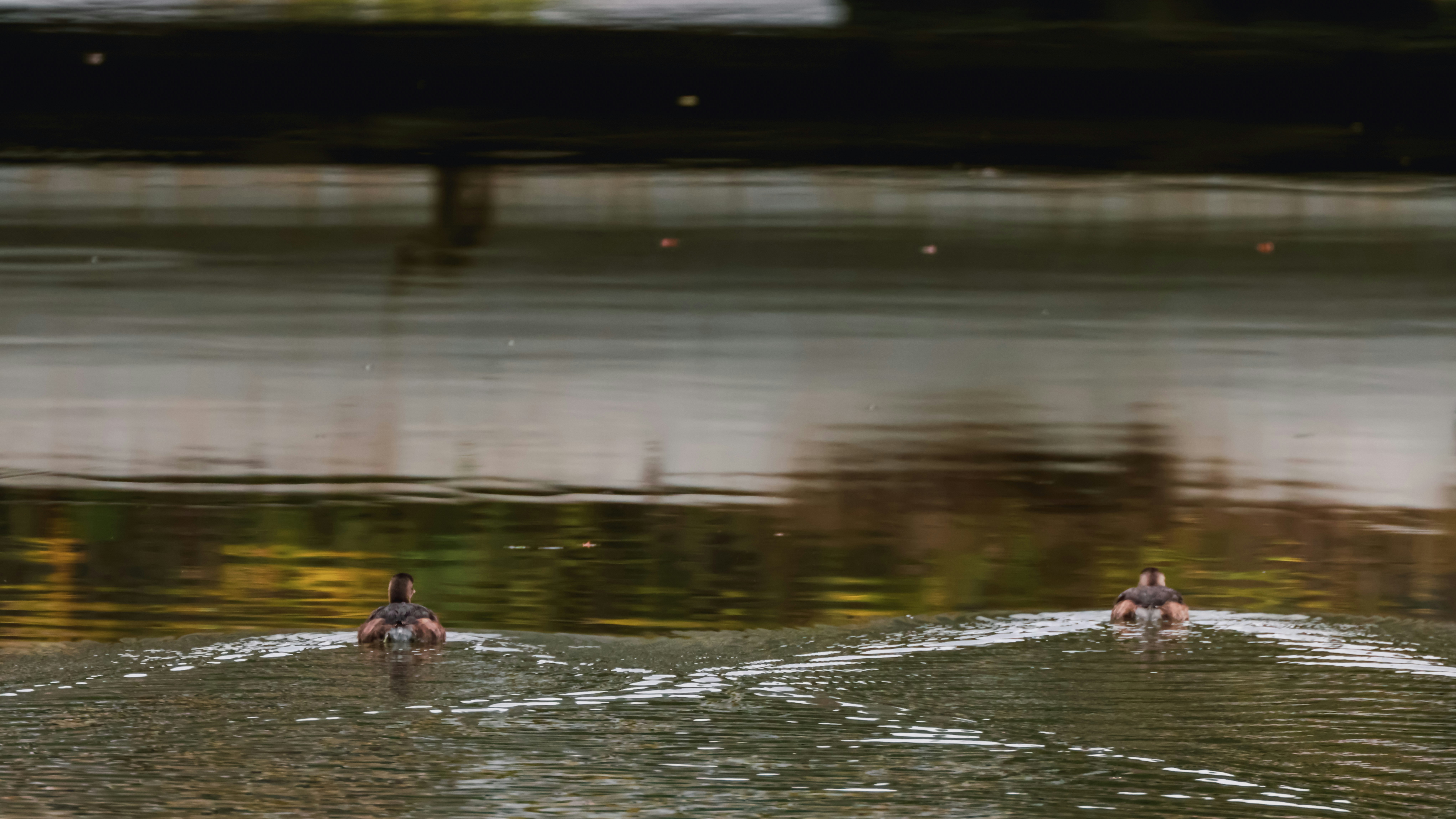 Photo by dickenslin76