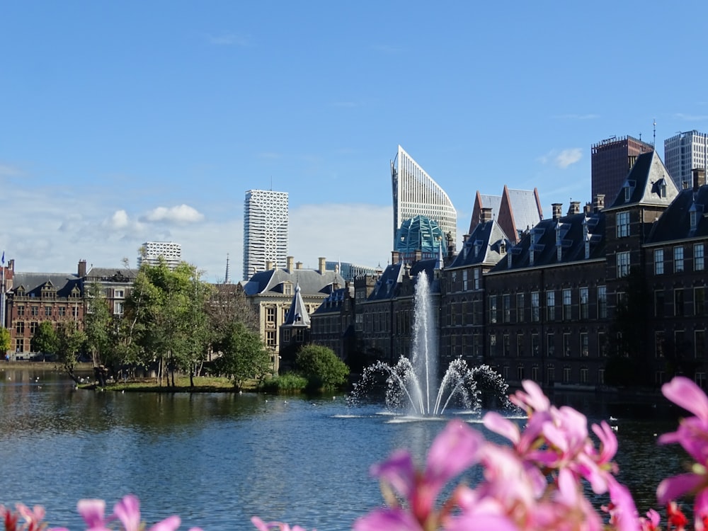 a pond with a fountain in the middle of it