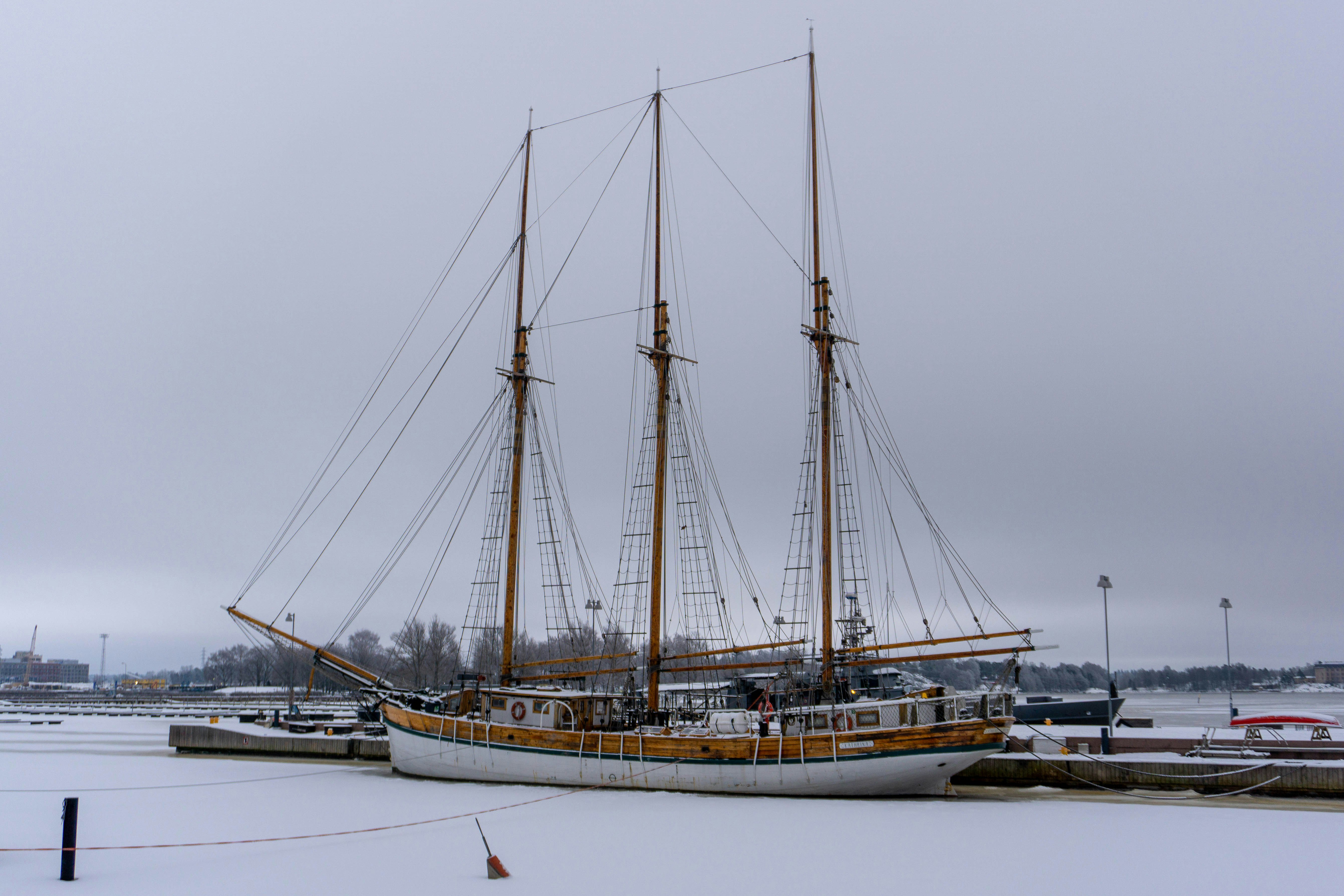 Photo by the_wild_pixel