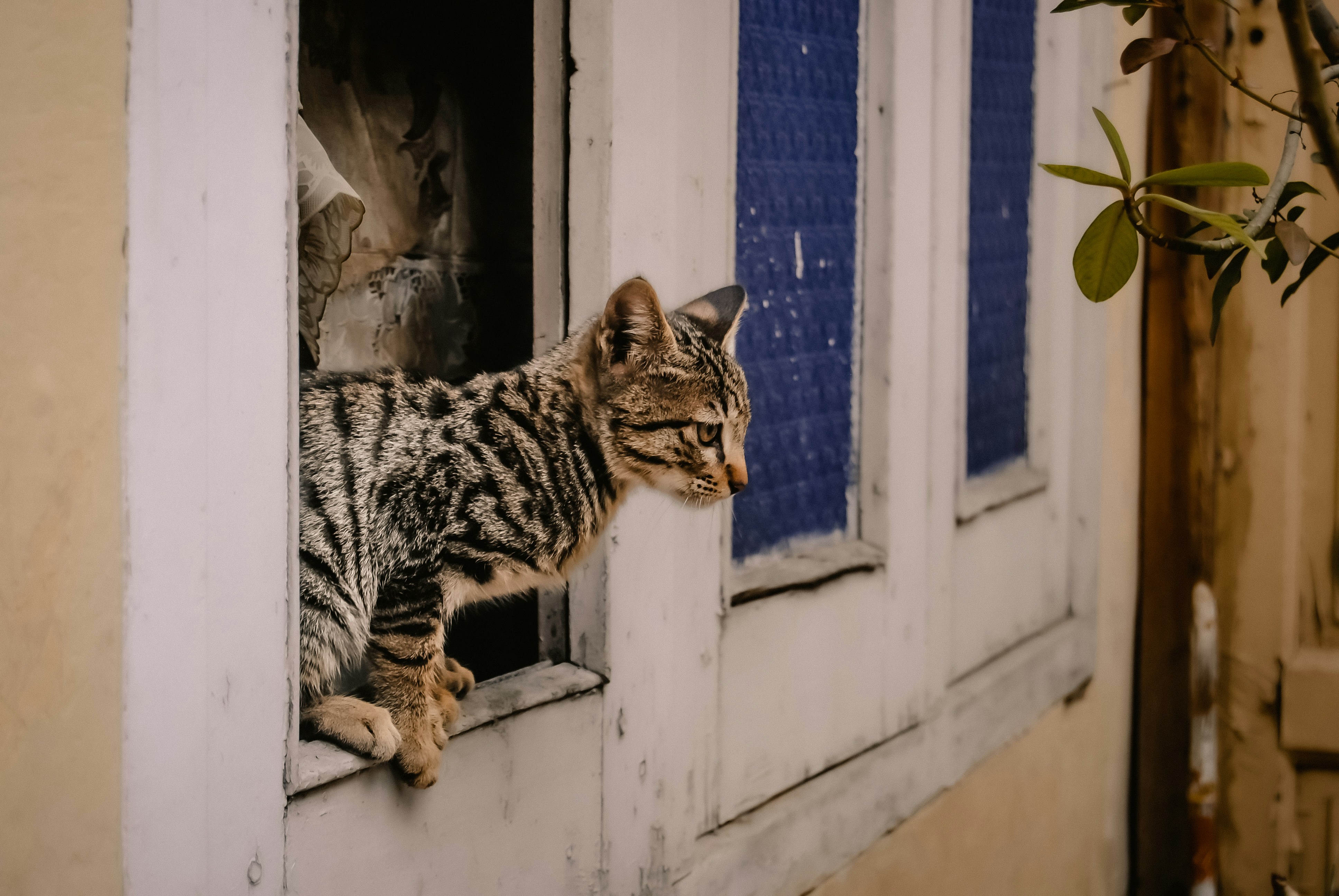 Photo by xzsahib