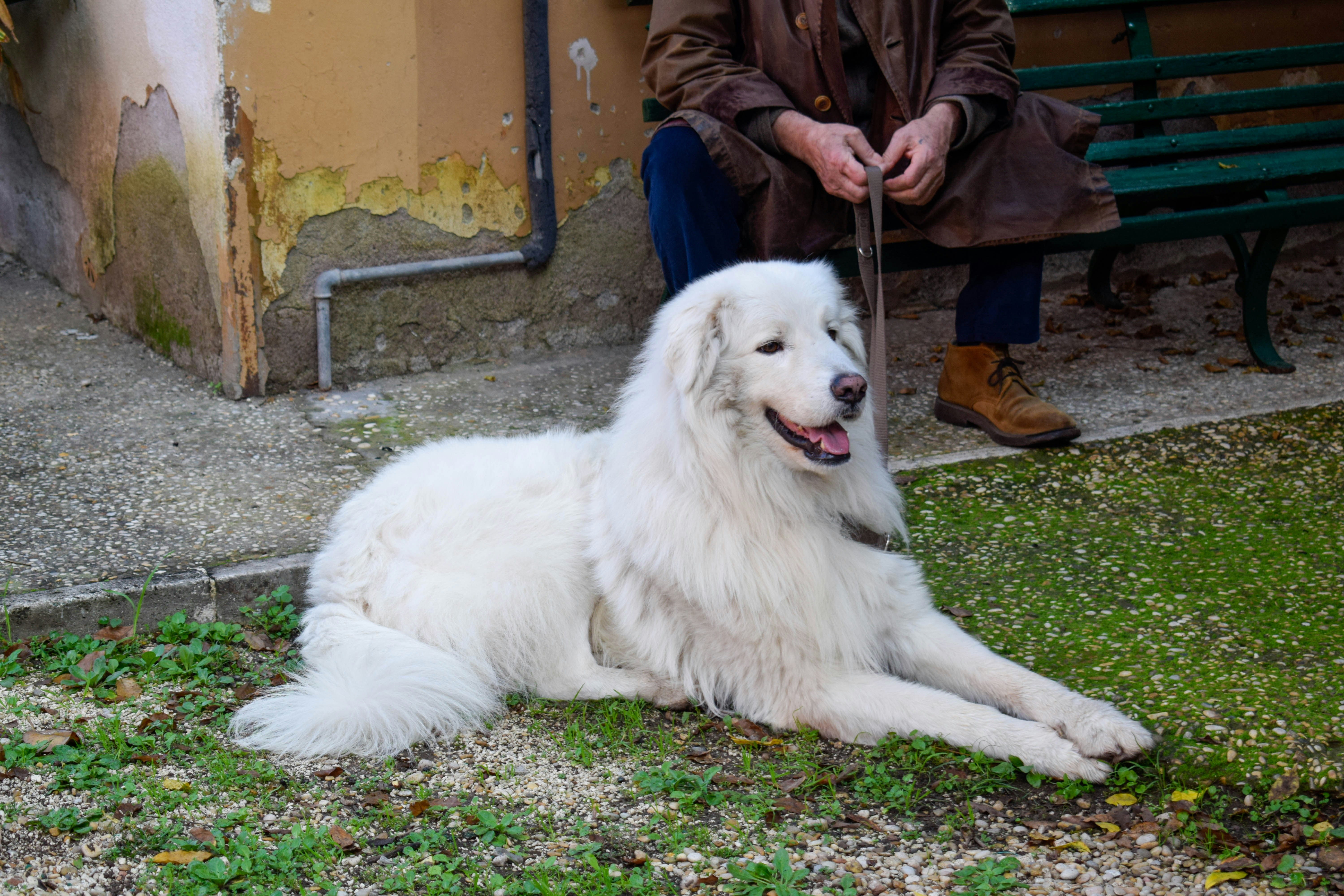 Conclusion (image credits: unsplash)