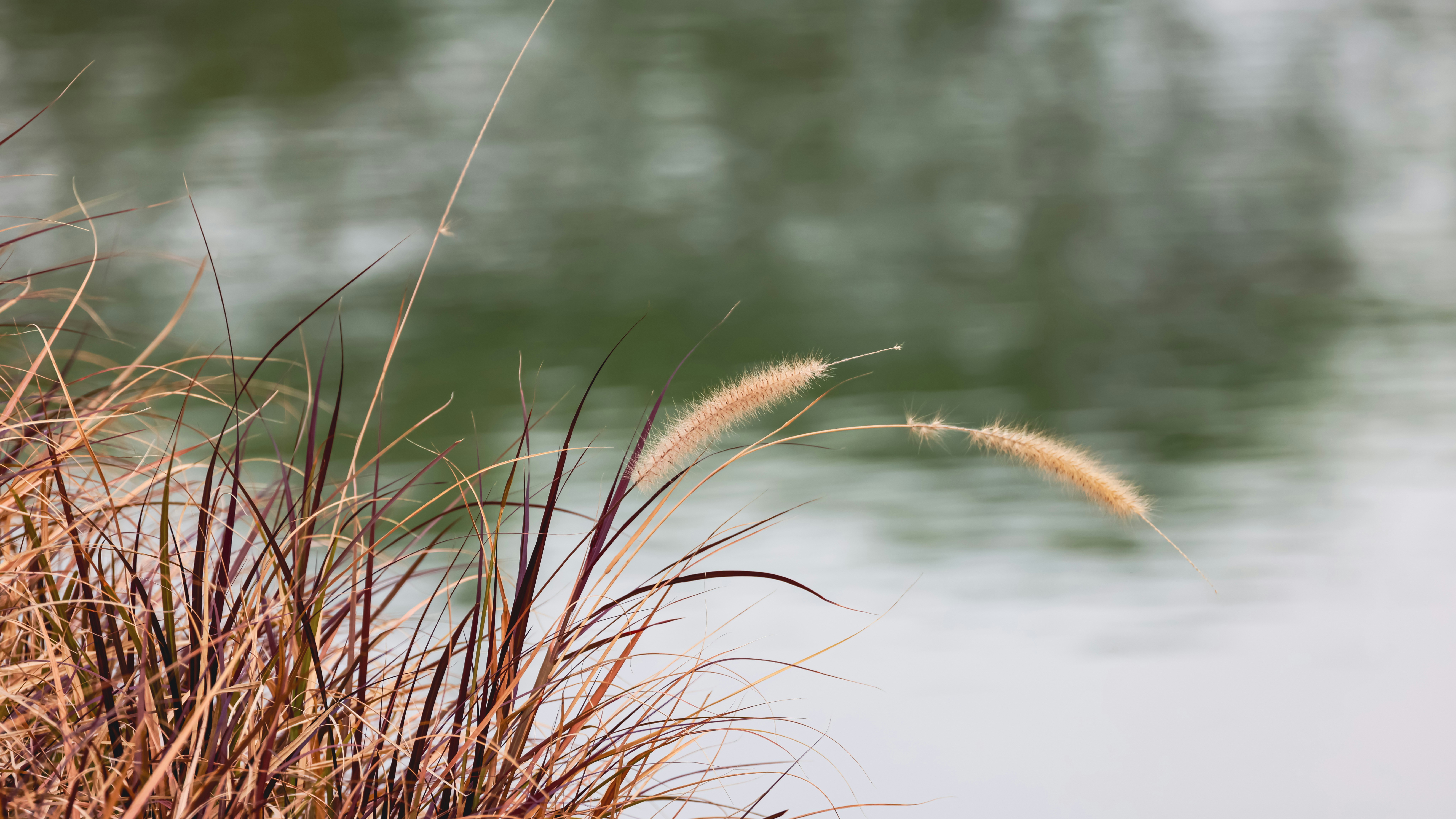 Photo by dickenslin76