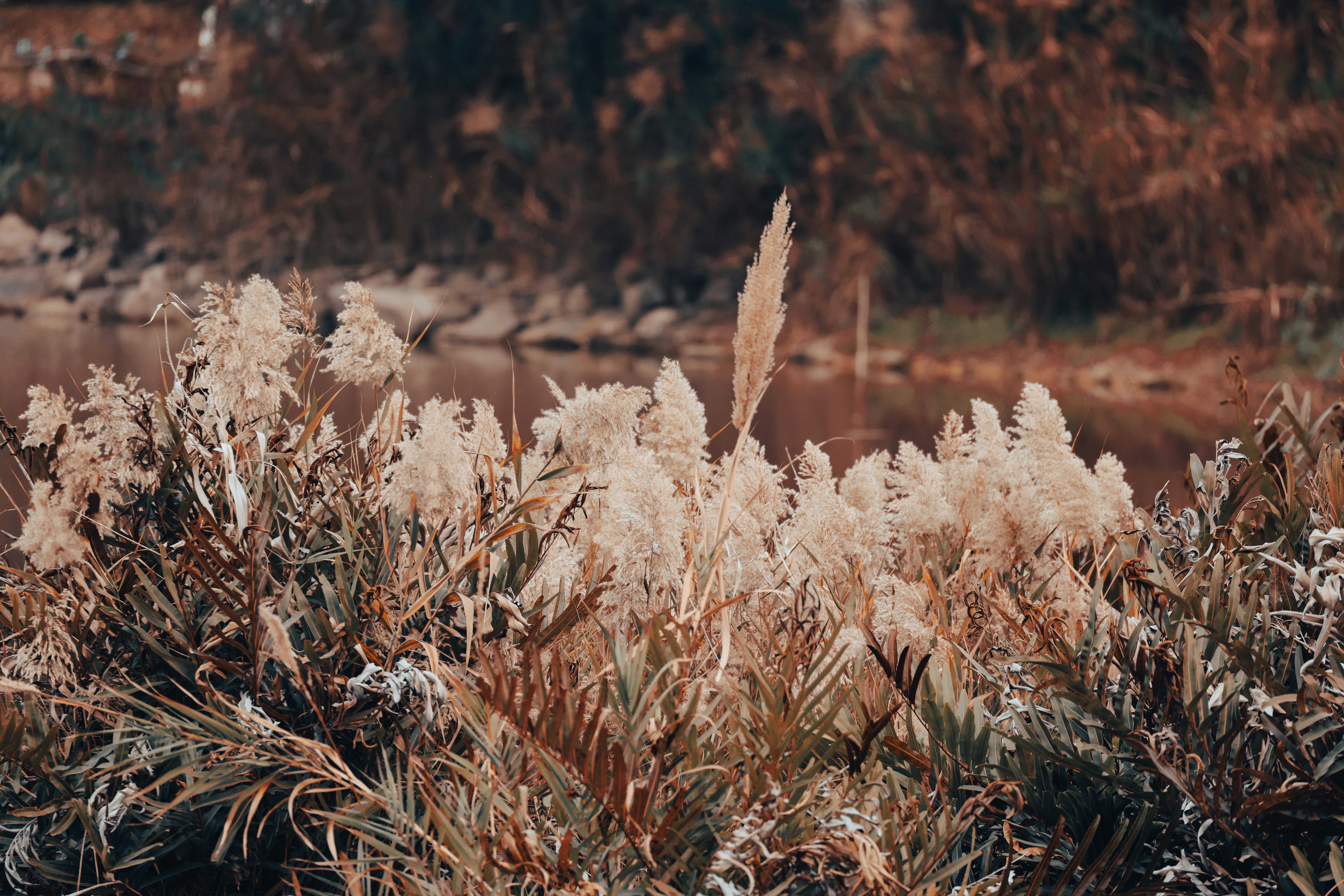 Photo by dickenslin76