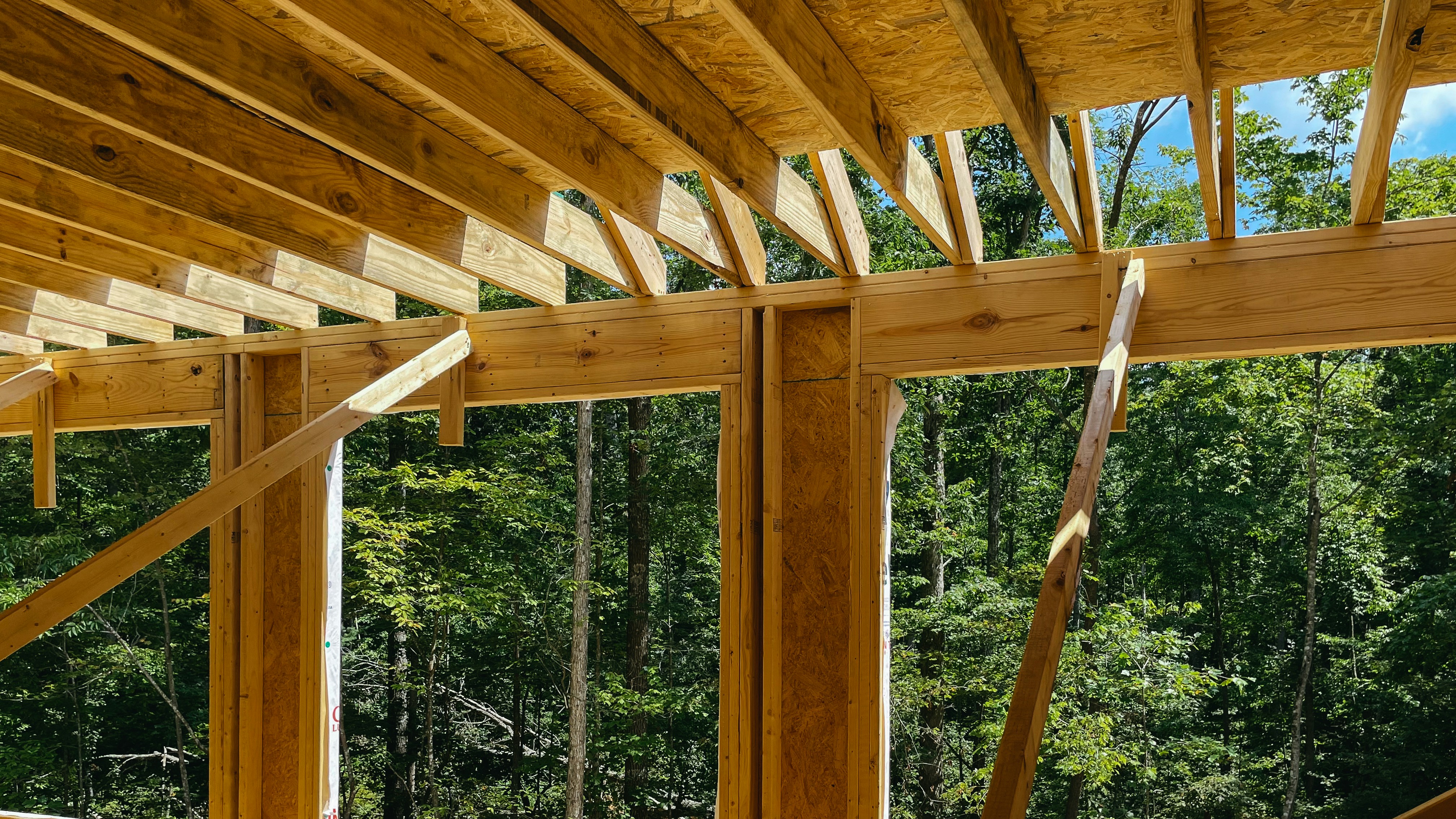 Photo by rosemarymedia