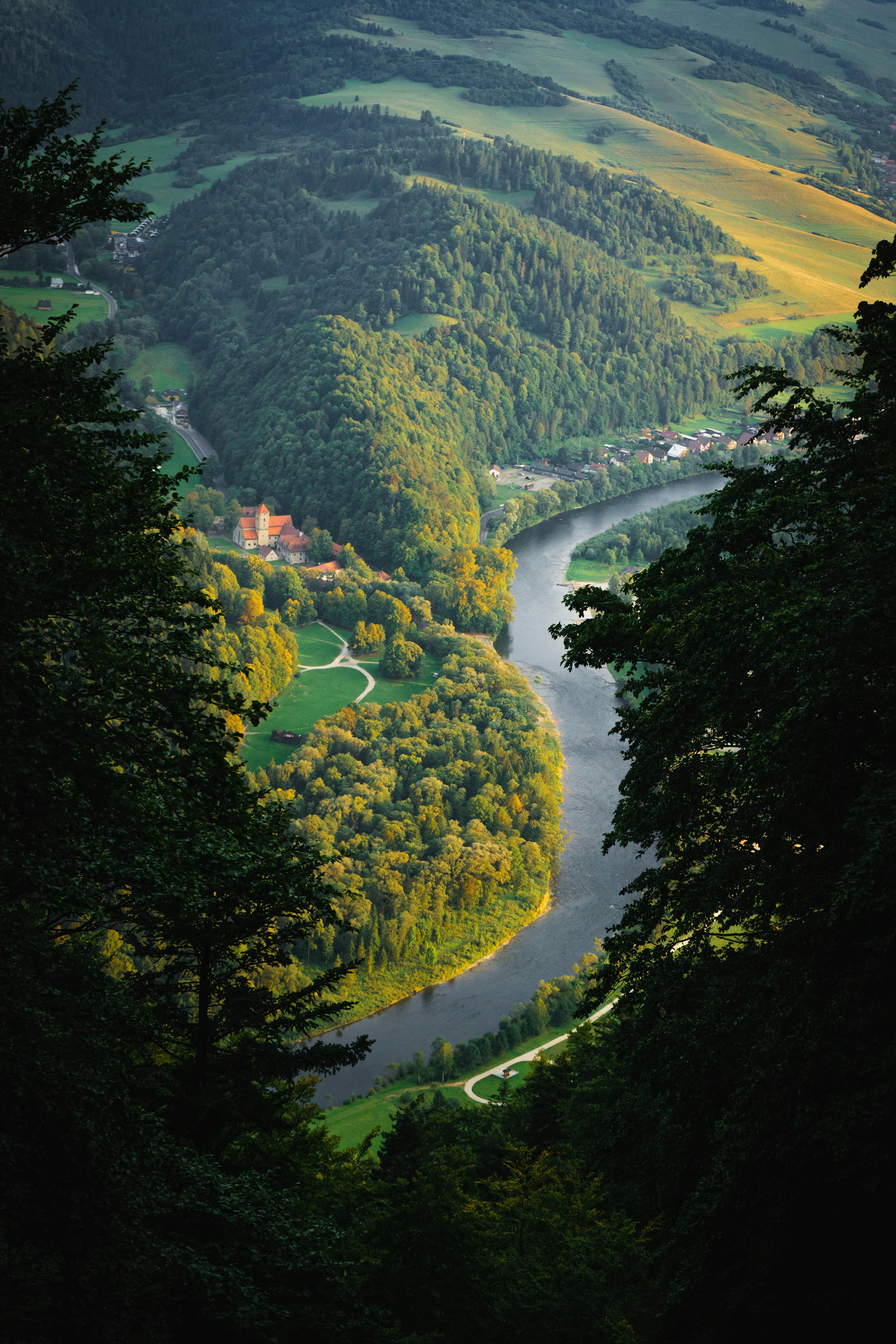 a river running through a lush green forest