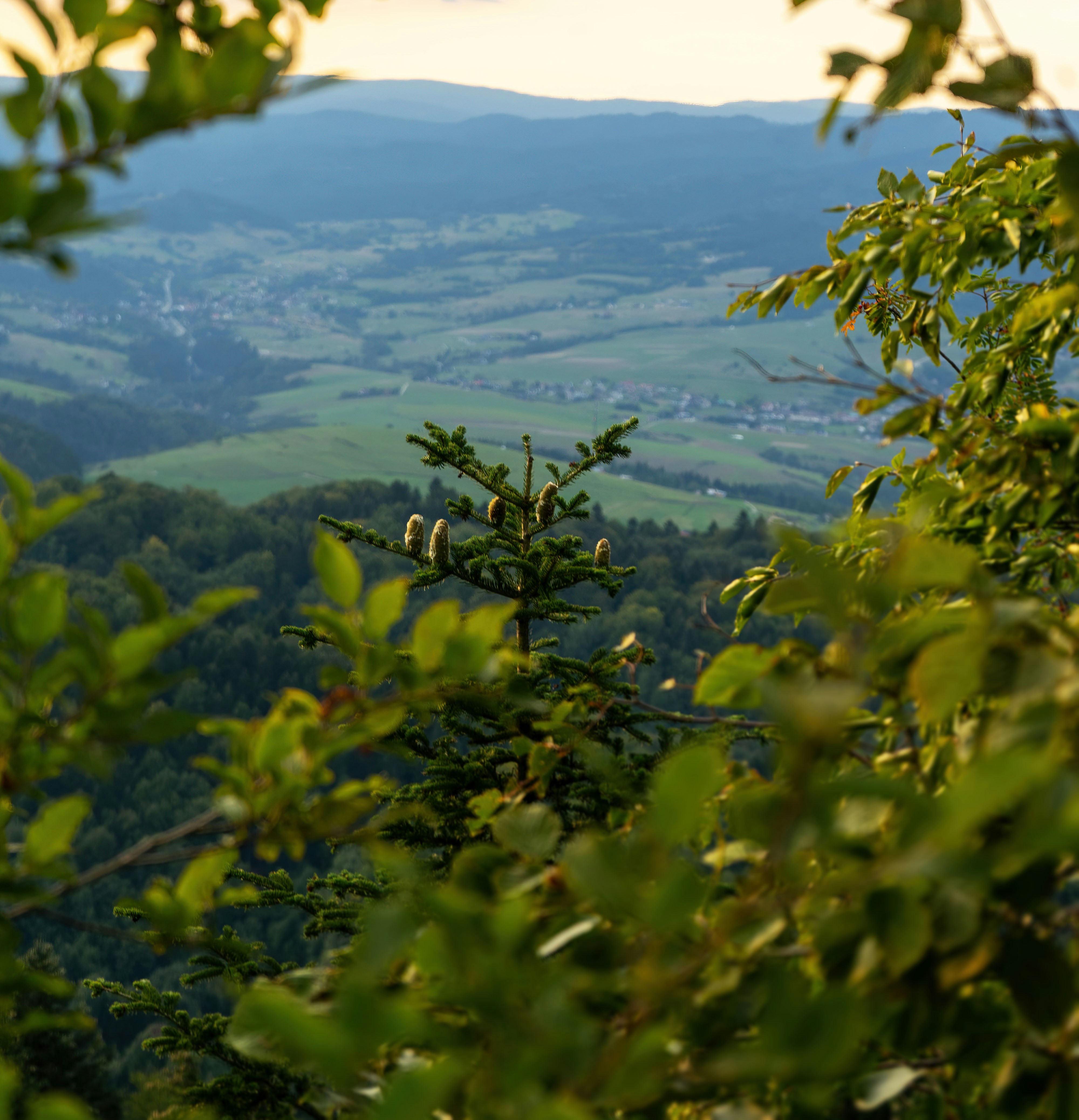 Photo by manuelmaslonka