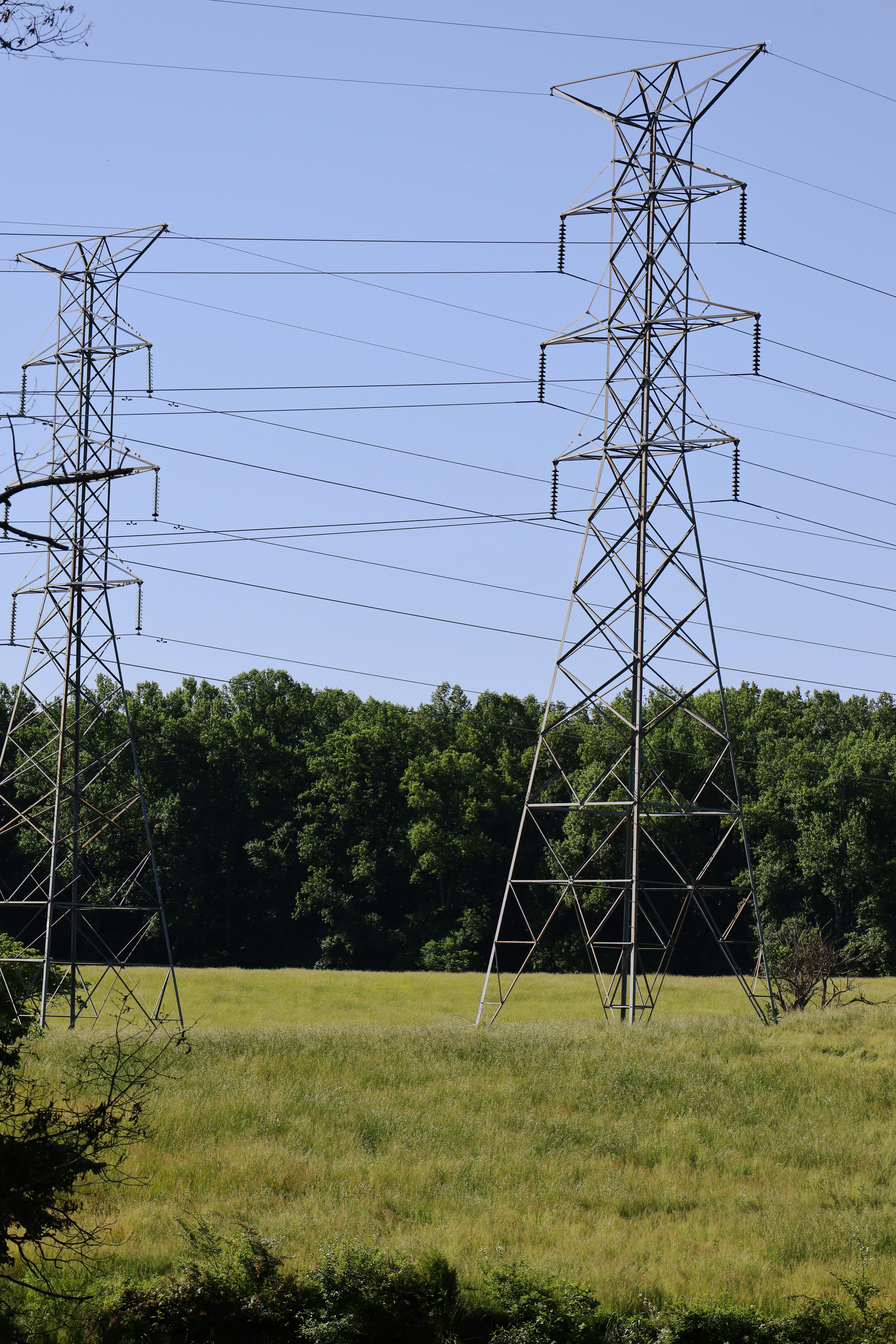 Photo by rosemarymedia