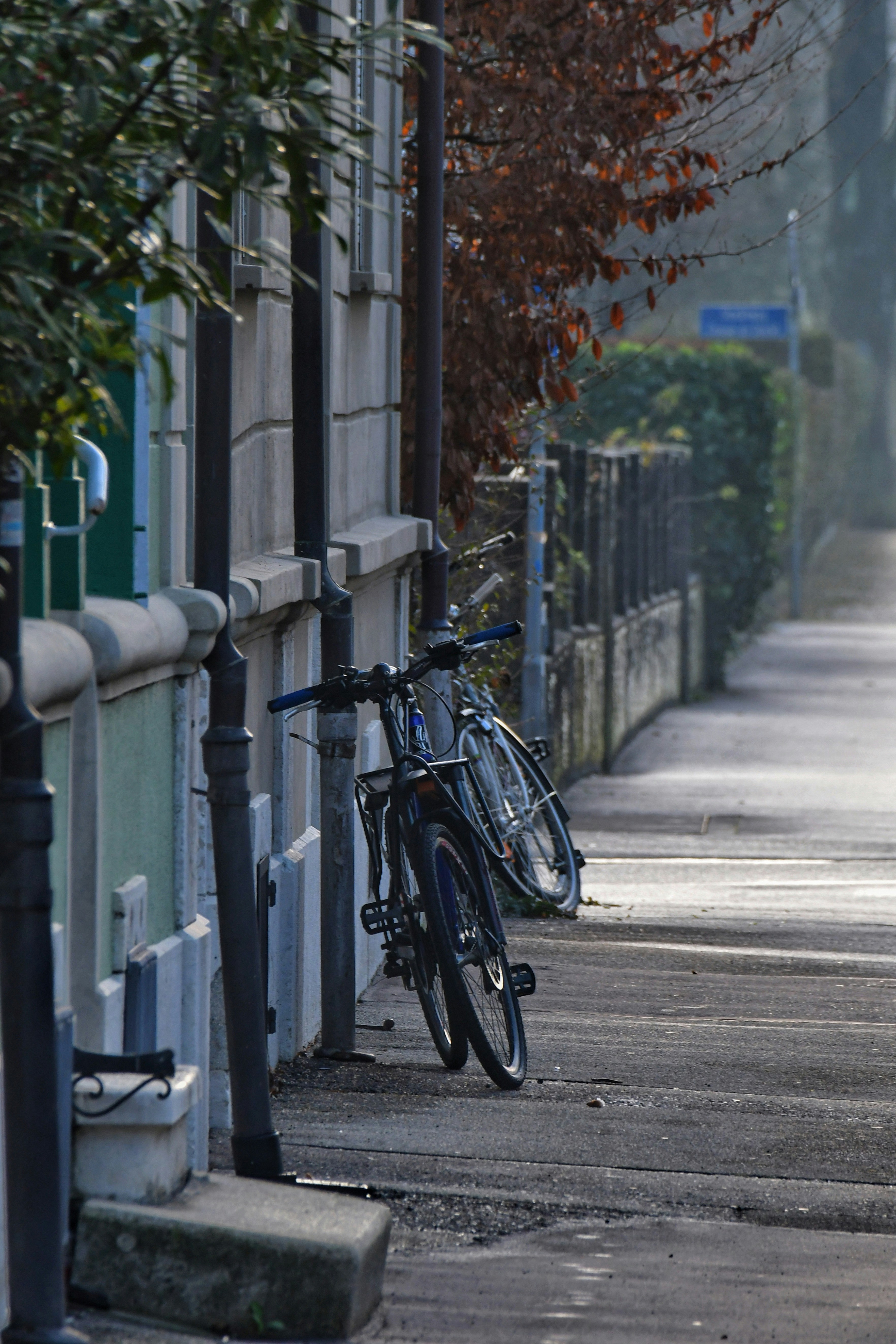 Photo by pedrino5_official