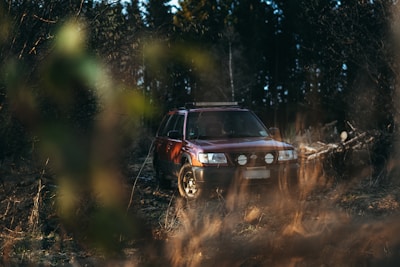 White SUV ready for adventure parked near a forest trail.