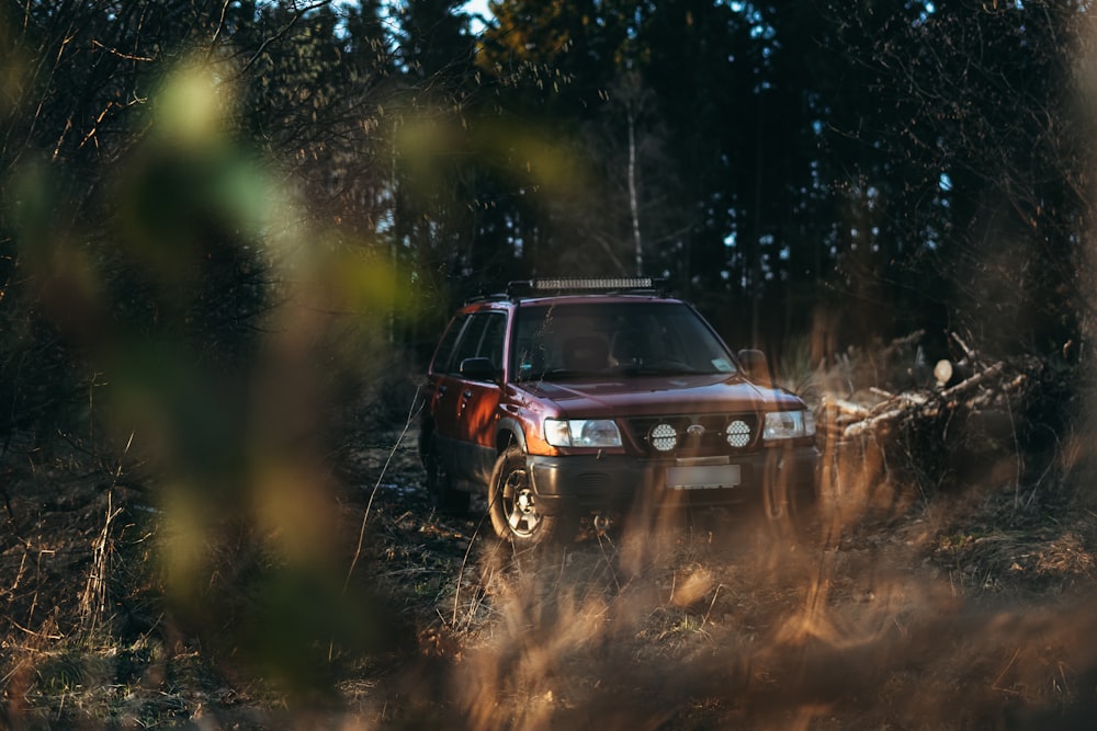 a car parked in the middle of a forest