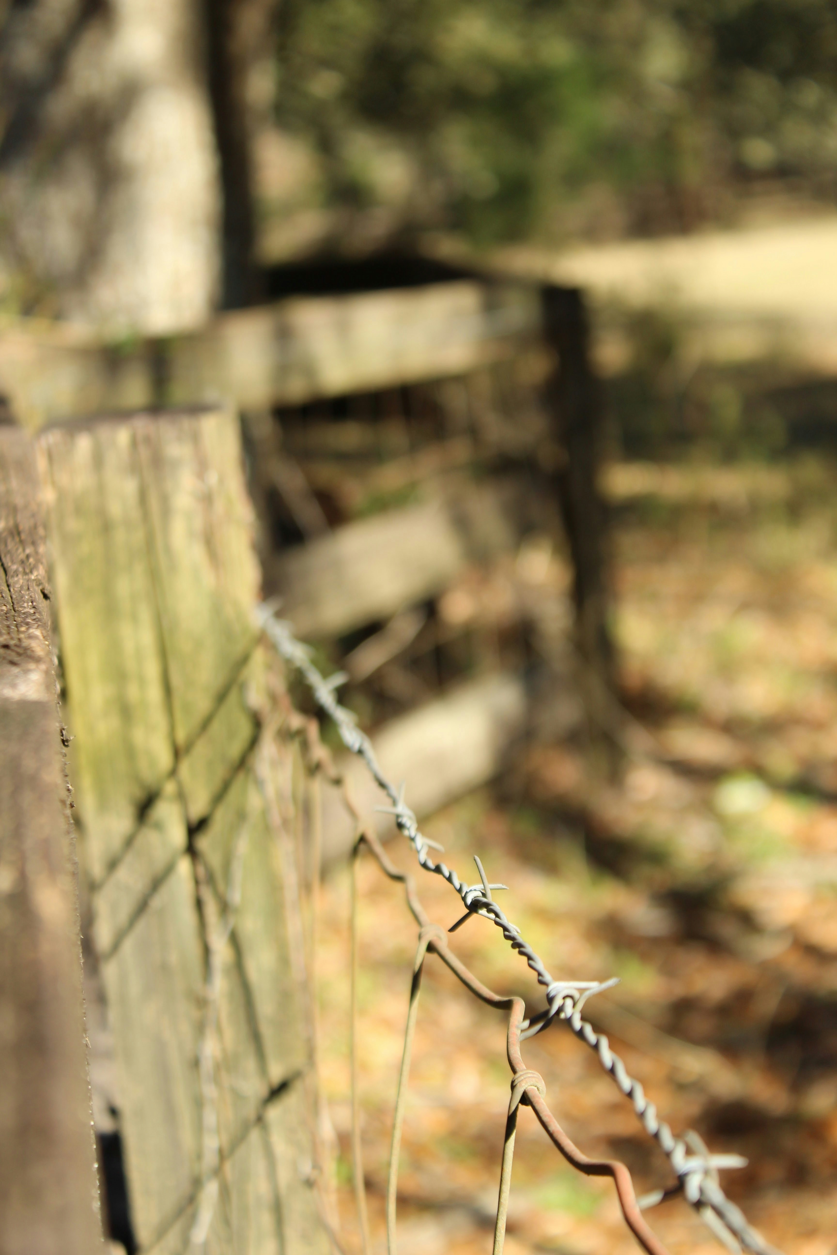 Photo by sunflower_1