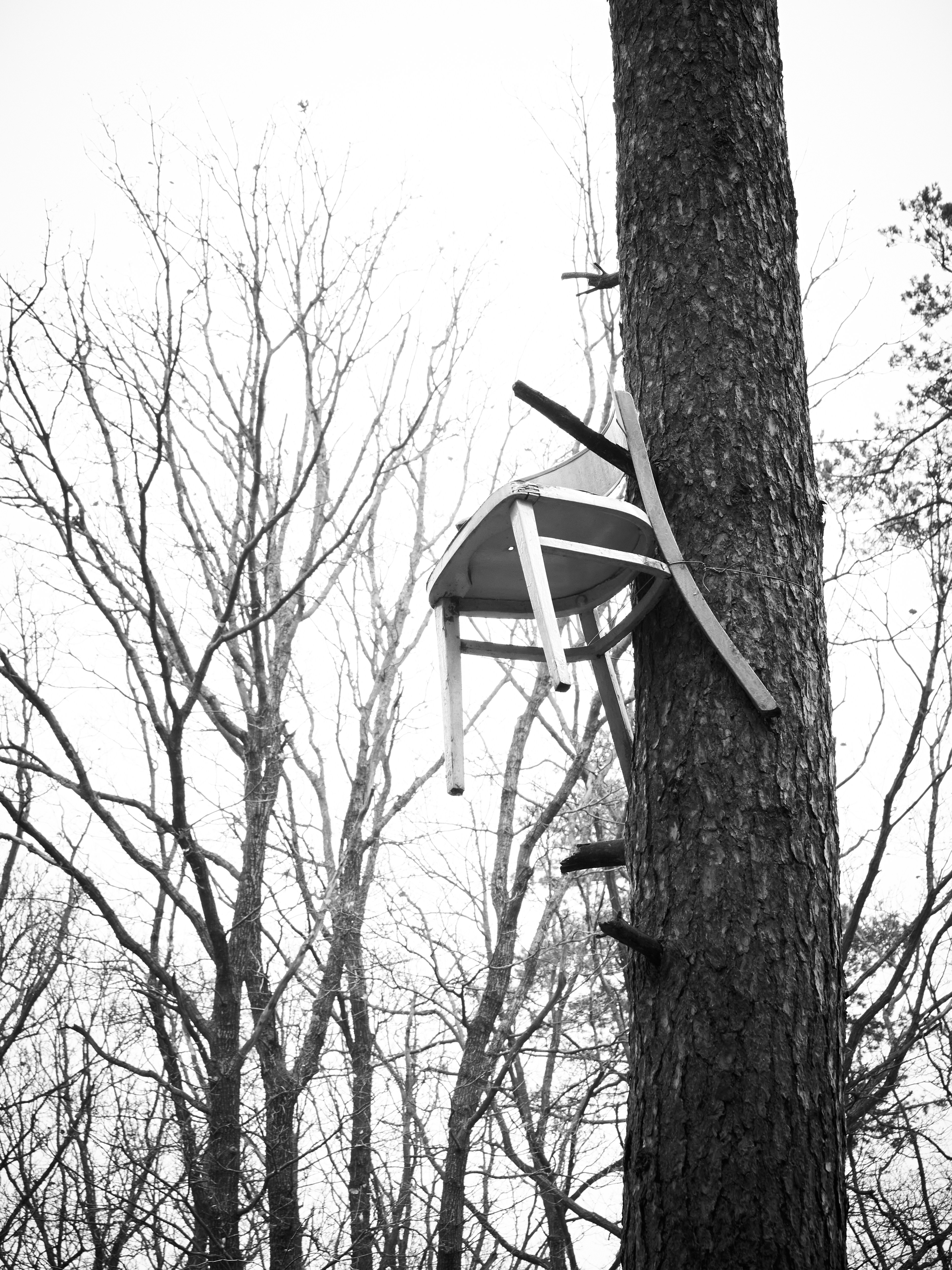 a tree house built into the side of a tree