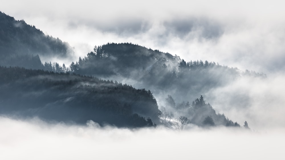 a mountain covered in fog with trees in the distance