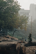 Logging machinery being serviced outdoors by professionals