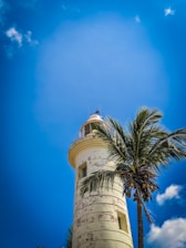 A tall, white lighthouse with weathered paint stands against a clear blue sky. A palm tree with clusters of coconuts is adjacent to the lighthouse, swaying gently in the breeze.