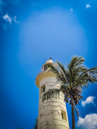 A tall, white lighthouse with weathered paint stands against a clear blue sky. A palm tree with clusters of coconuts is adjacent to the lighthouse, swaying gently in the breeze.