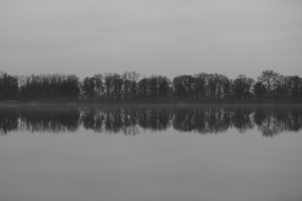 Ein Schwarz-Weiß-Foto eines von Bäumen umgebenen Sees