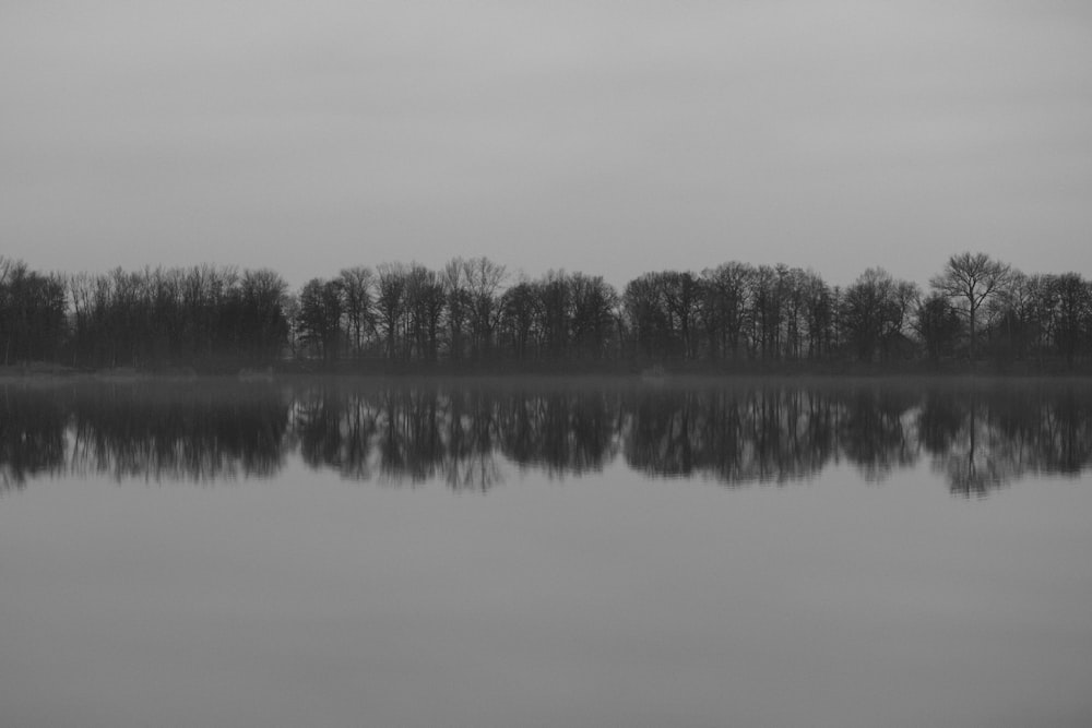 a black and white photo of a lake surrounded by trees