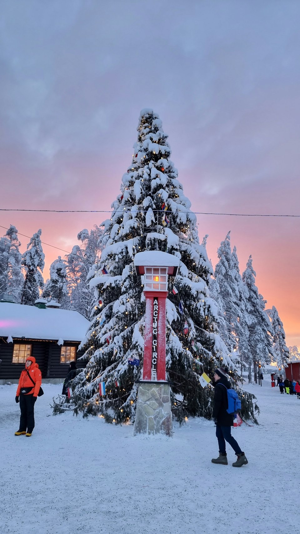 A snow-covered fir hung with lights and flags beside the red Arctic Circle lantern post in Santa Claus Village, Rovaniemi, under a pink winter sky