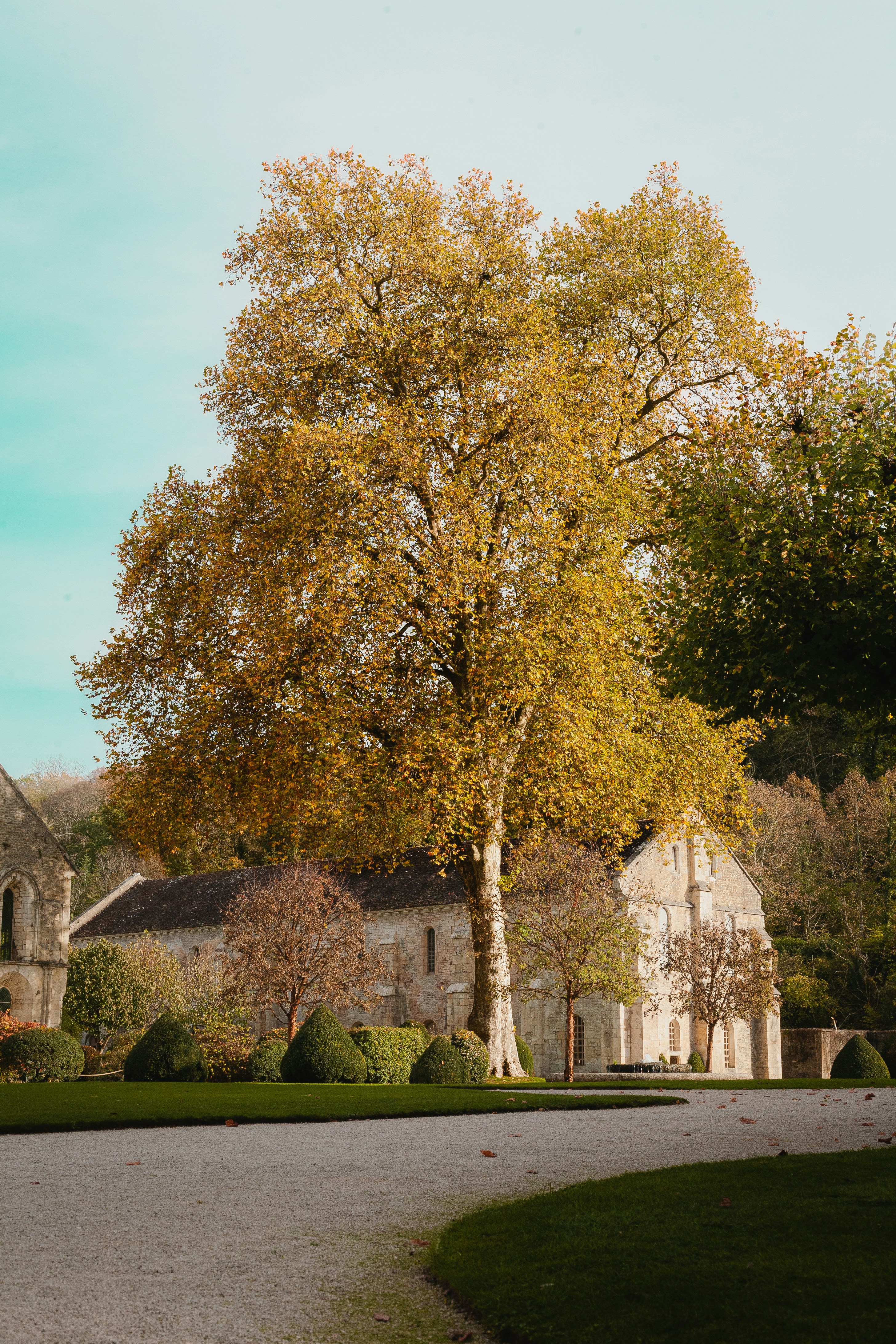 Photo by nilsbeaujot