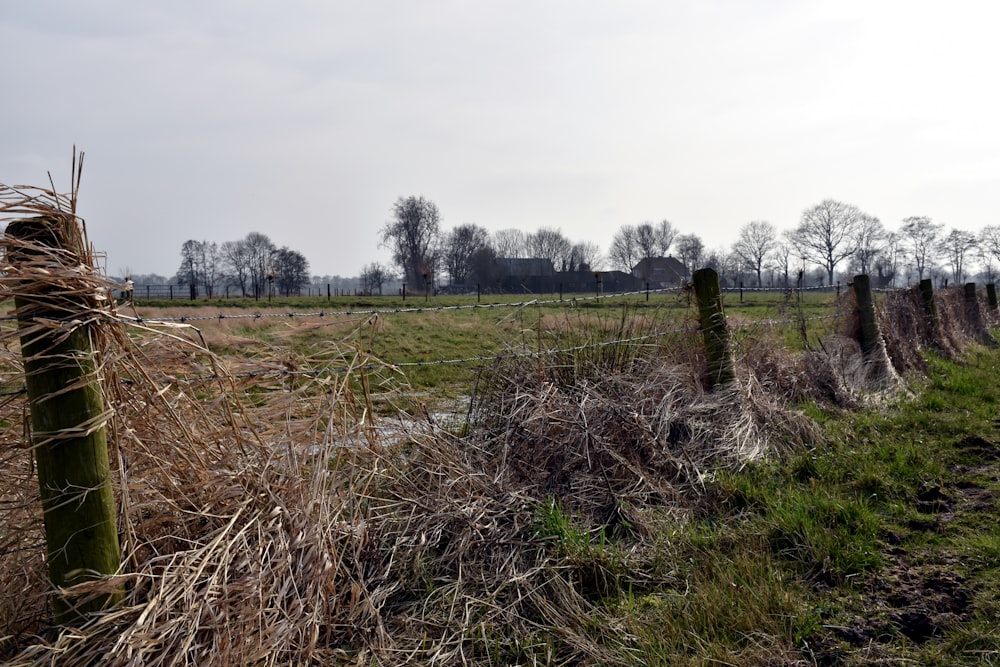 a field with a fence and a building in the background