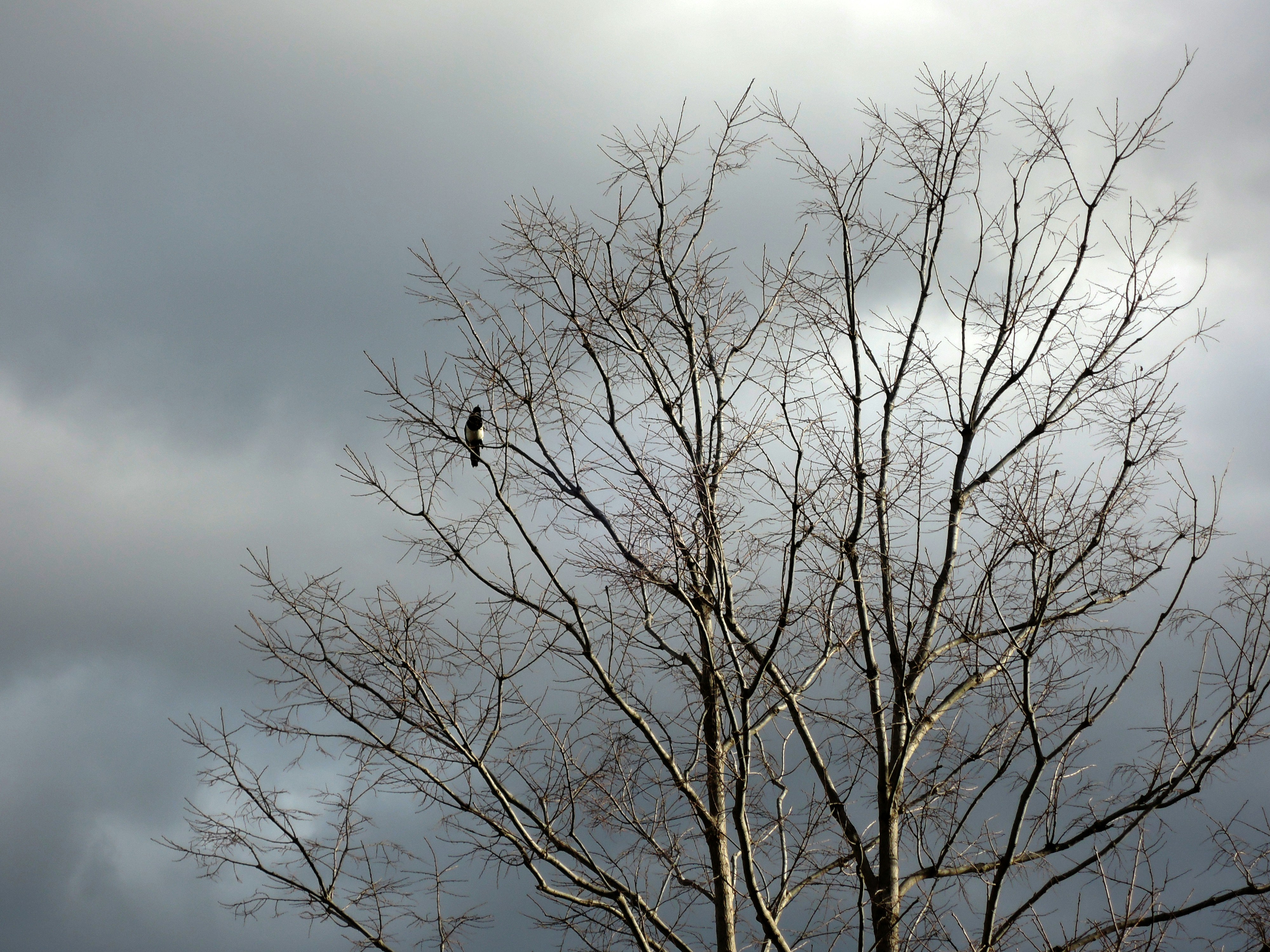 Photo by ludovico_06