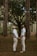 a couple of men standing next to each other in a forest