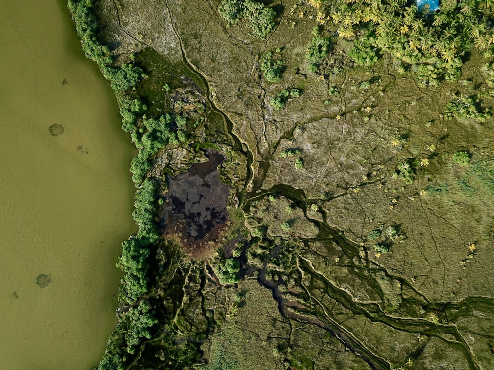 an aerial view of a lake surrounded by trees