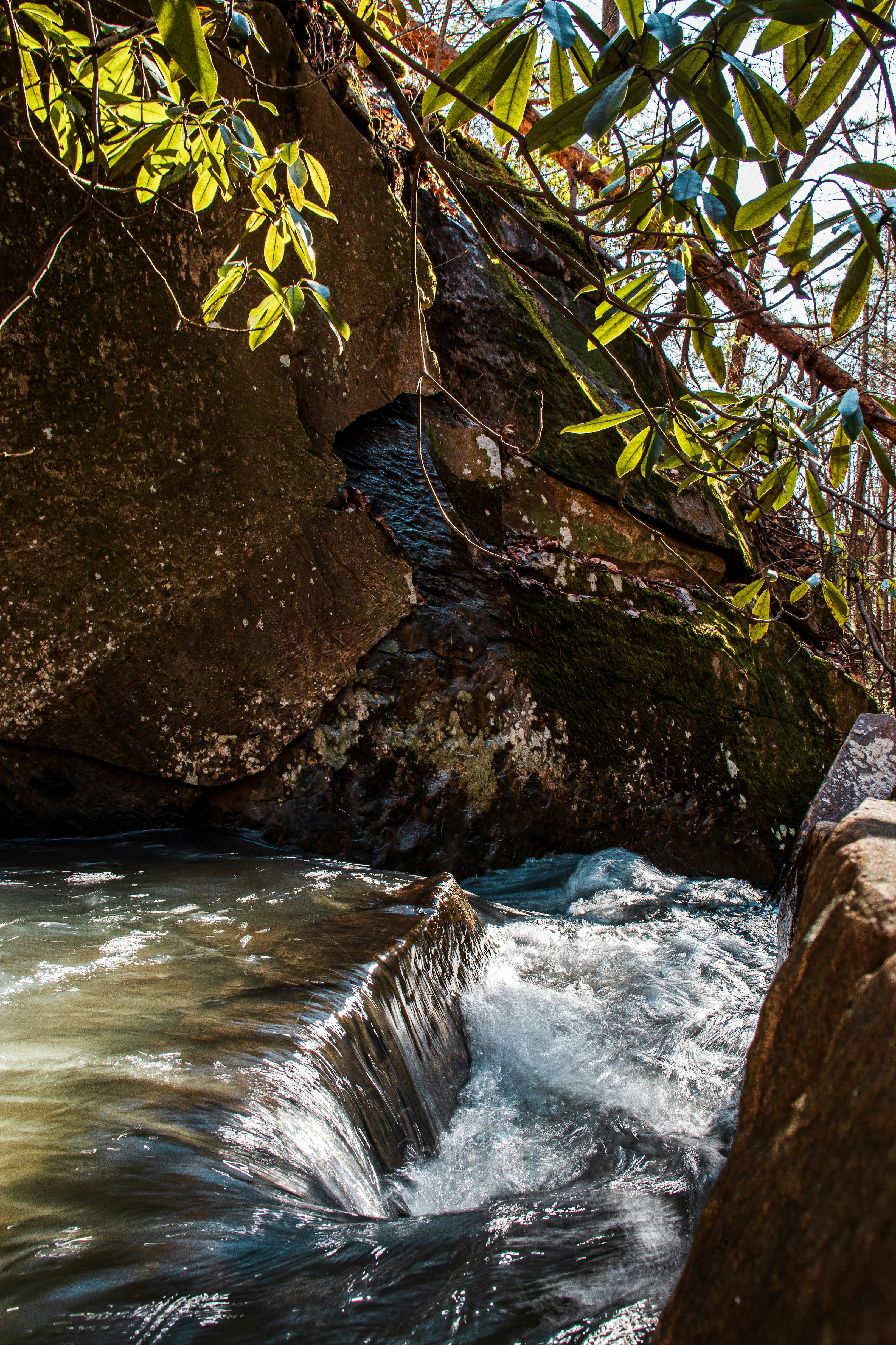 Photo by brice_cooper18