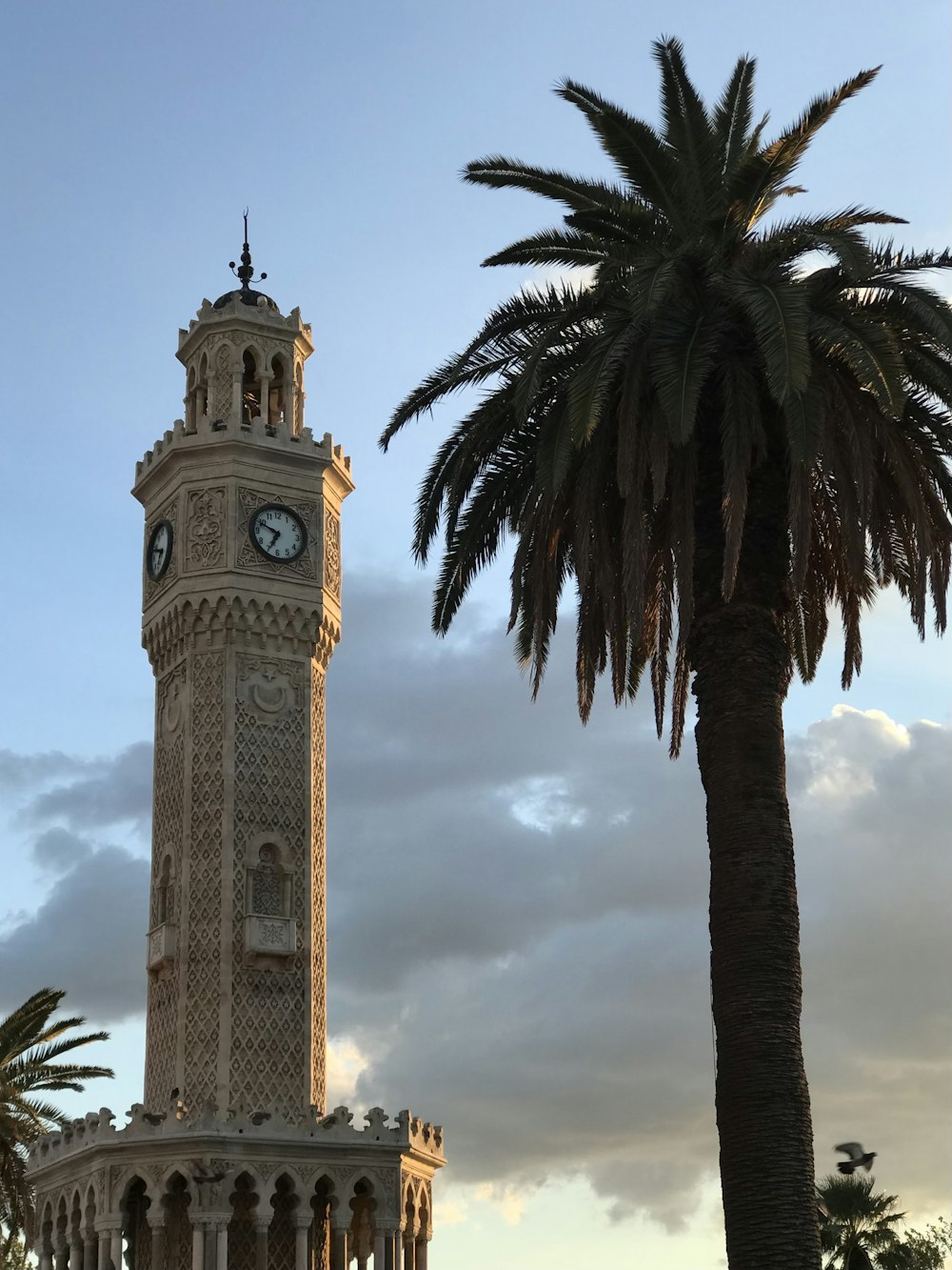 a tall clock tower sitting next to a palm tree