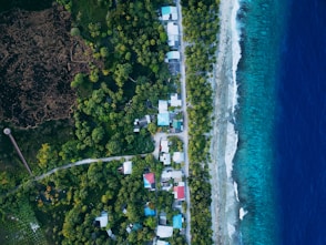 an aerial view of a beach with houses on it