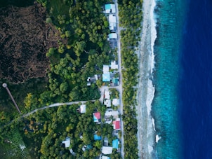an aerial view of a beach with houses on it