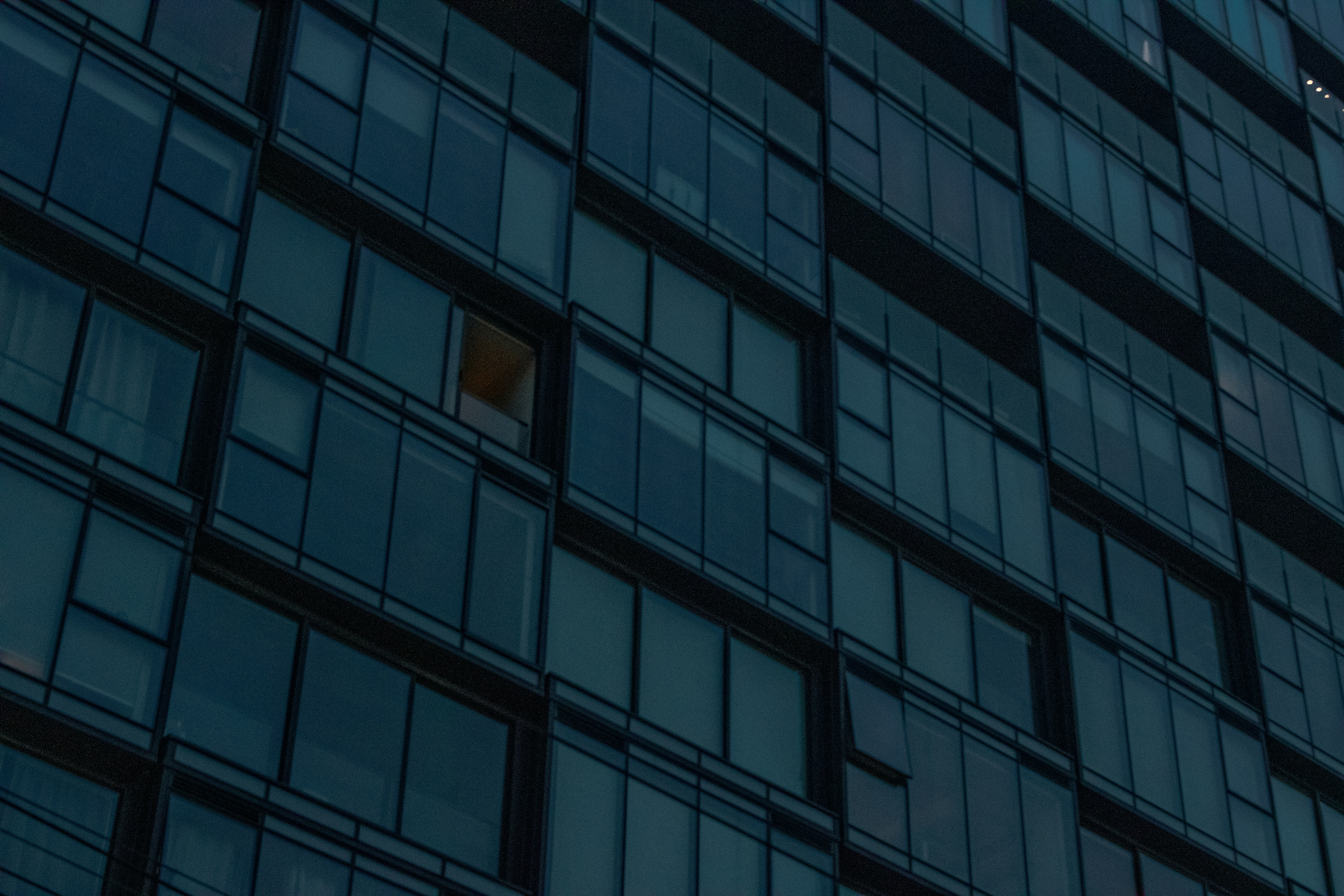 Photo by melphinjames