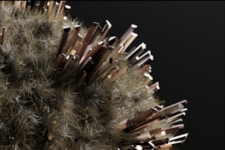 A spherical object covered with fine, hair-like structures has numerous metallic, crystalline rods protruding from its surface, set against a dark background.