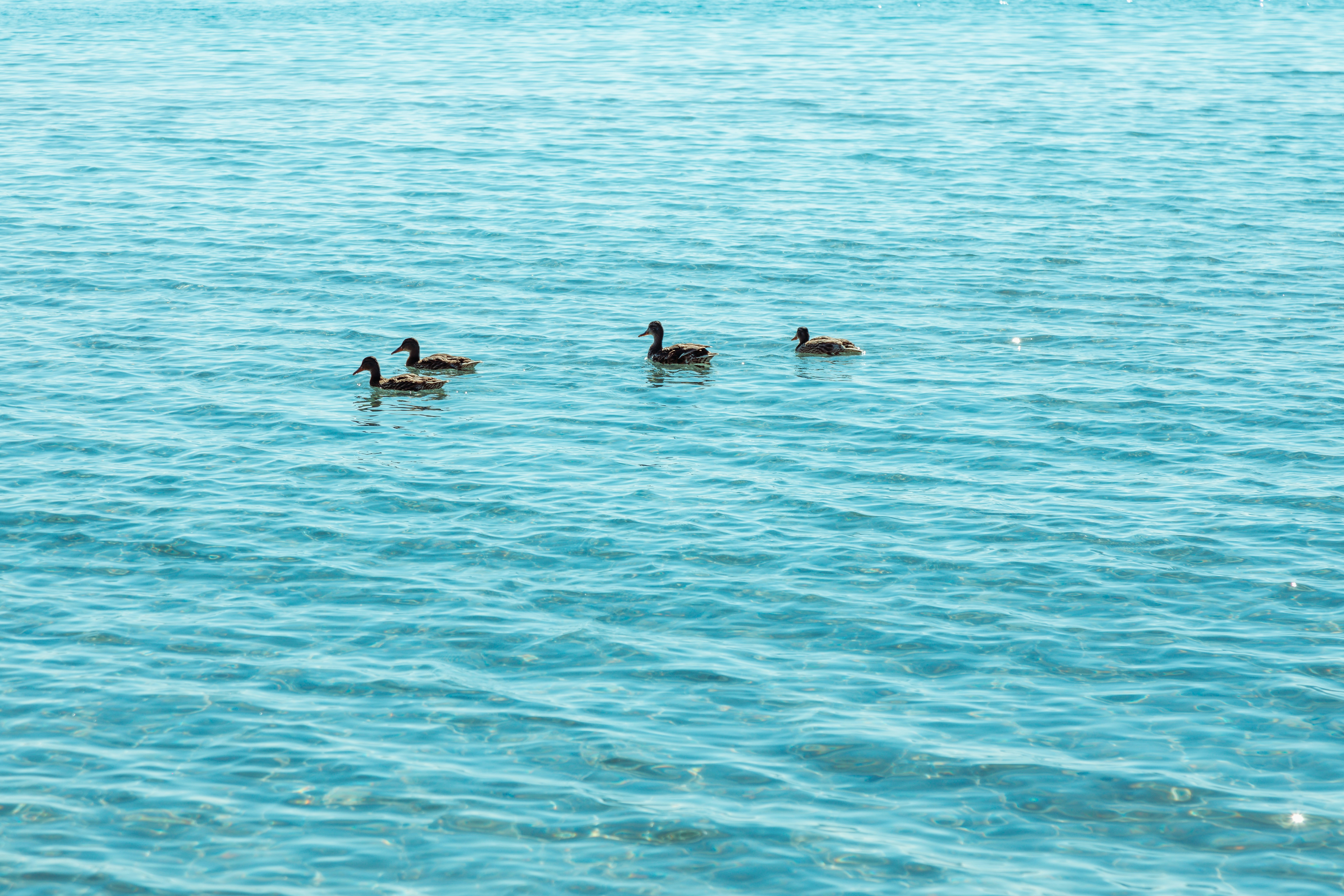 Photo by collab_media