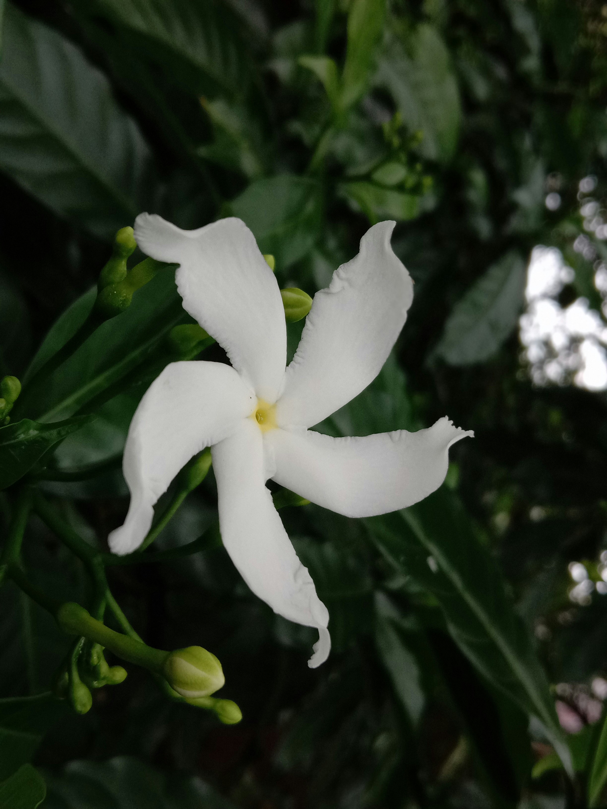 Photo by ____hacker____