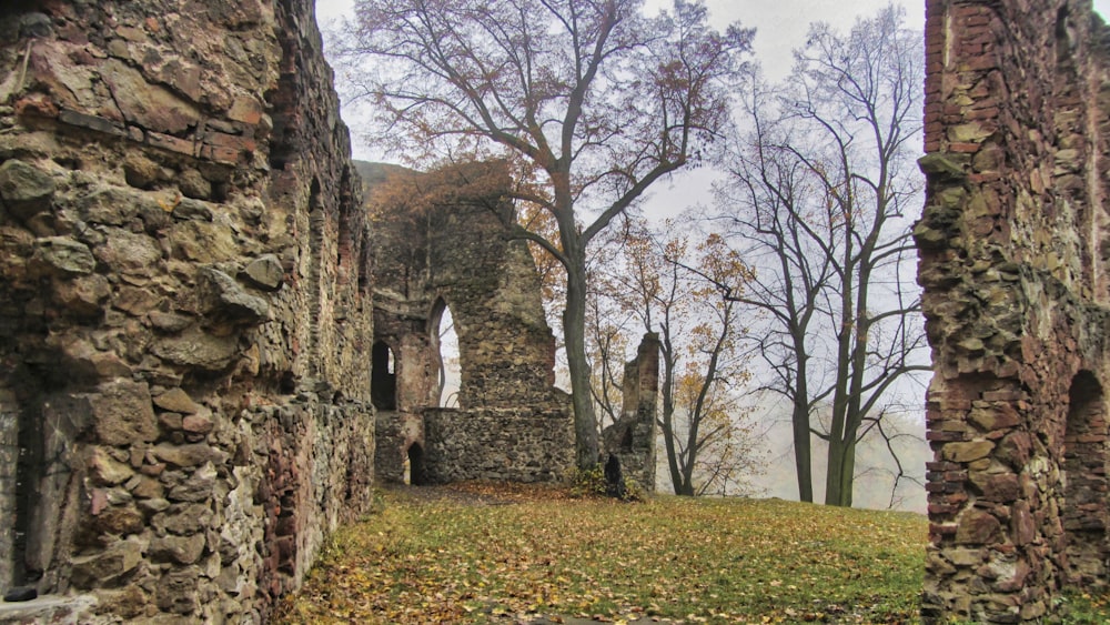 the ruins of an old building with trees in the background